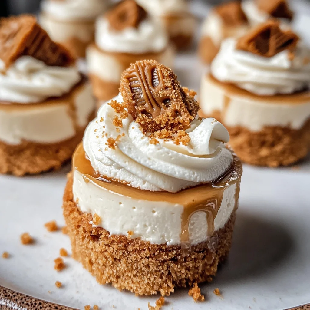No Bake Mini Biscoff Cheesecakes