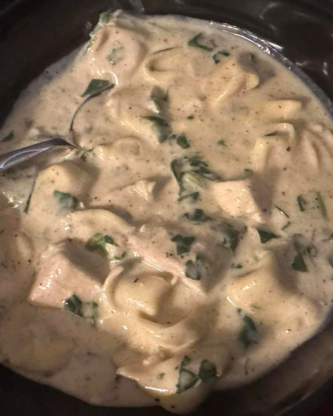 Creamy Garlic Shrimp Tortellini Alfredo Recipe finished dish