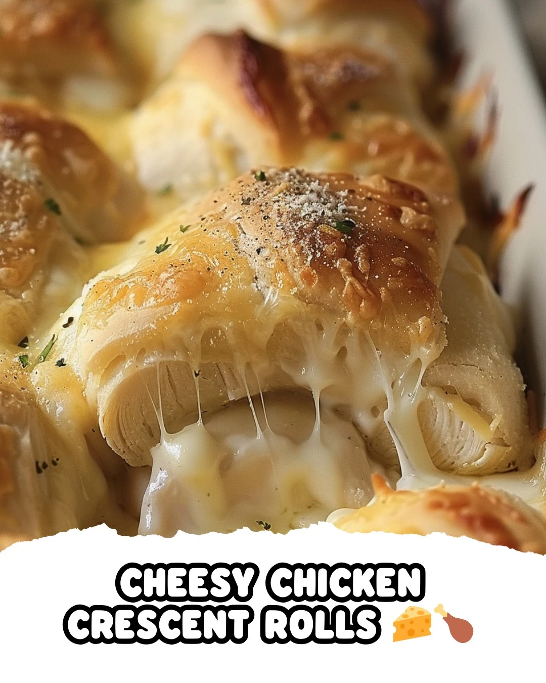 CHEESY CHICKEN CRESCENT ROLLS