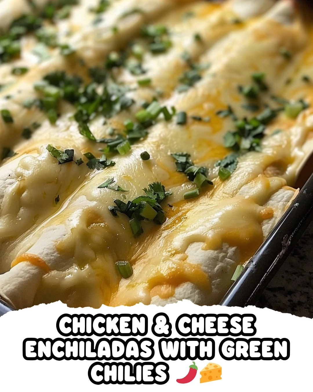 Delicious Chicken Cheese Enchiladas with Green Chilies finished dish