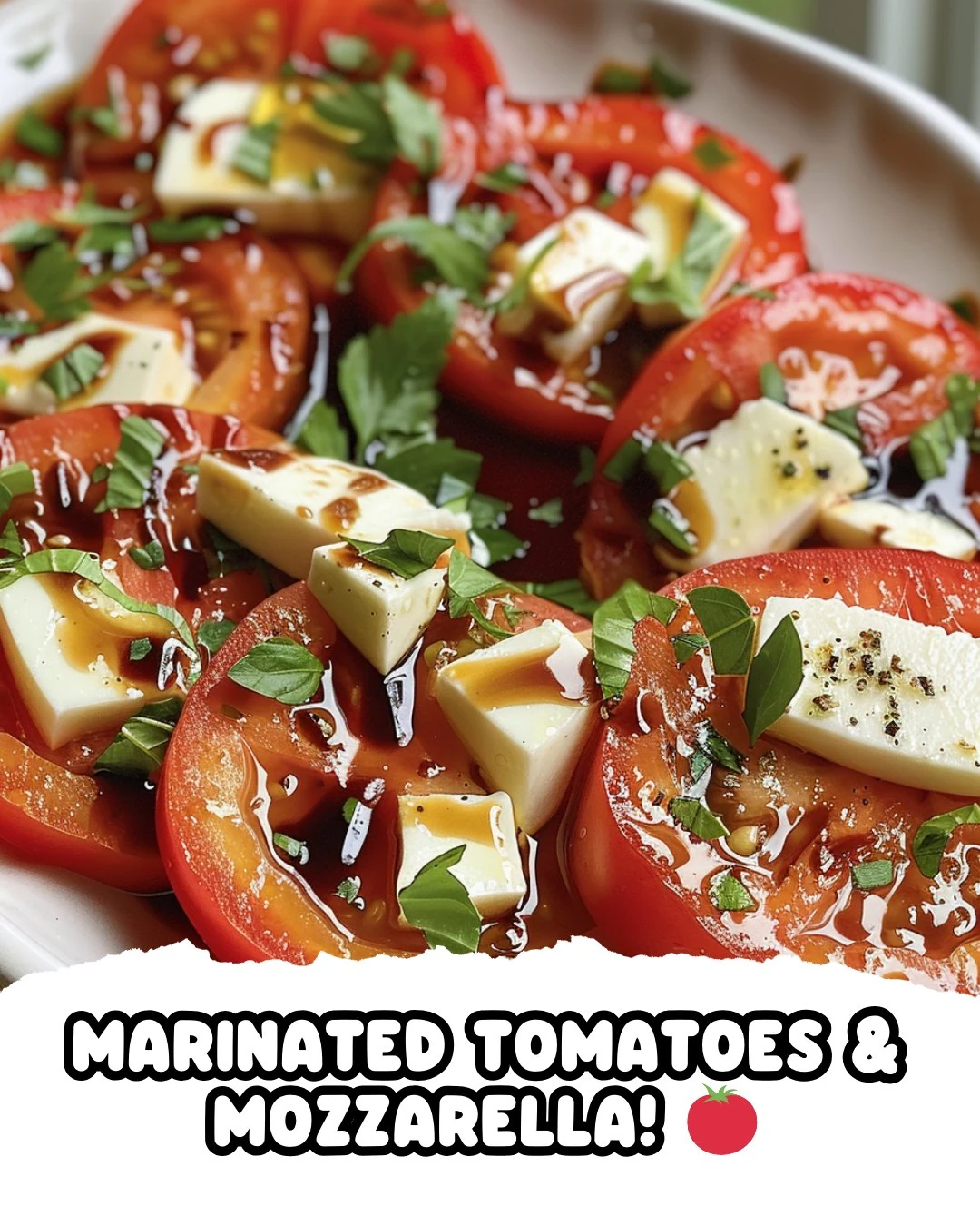 Marinated Tomatoes Mozzarella