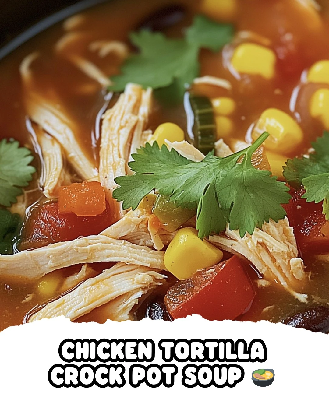 Easy Chicken Tortilla Crock Pot Soup Recipe finished dish