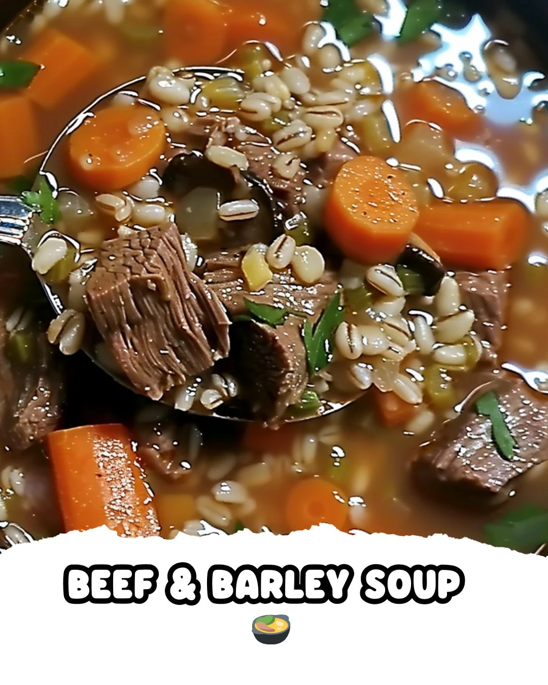 Beef Barley Soup