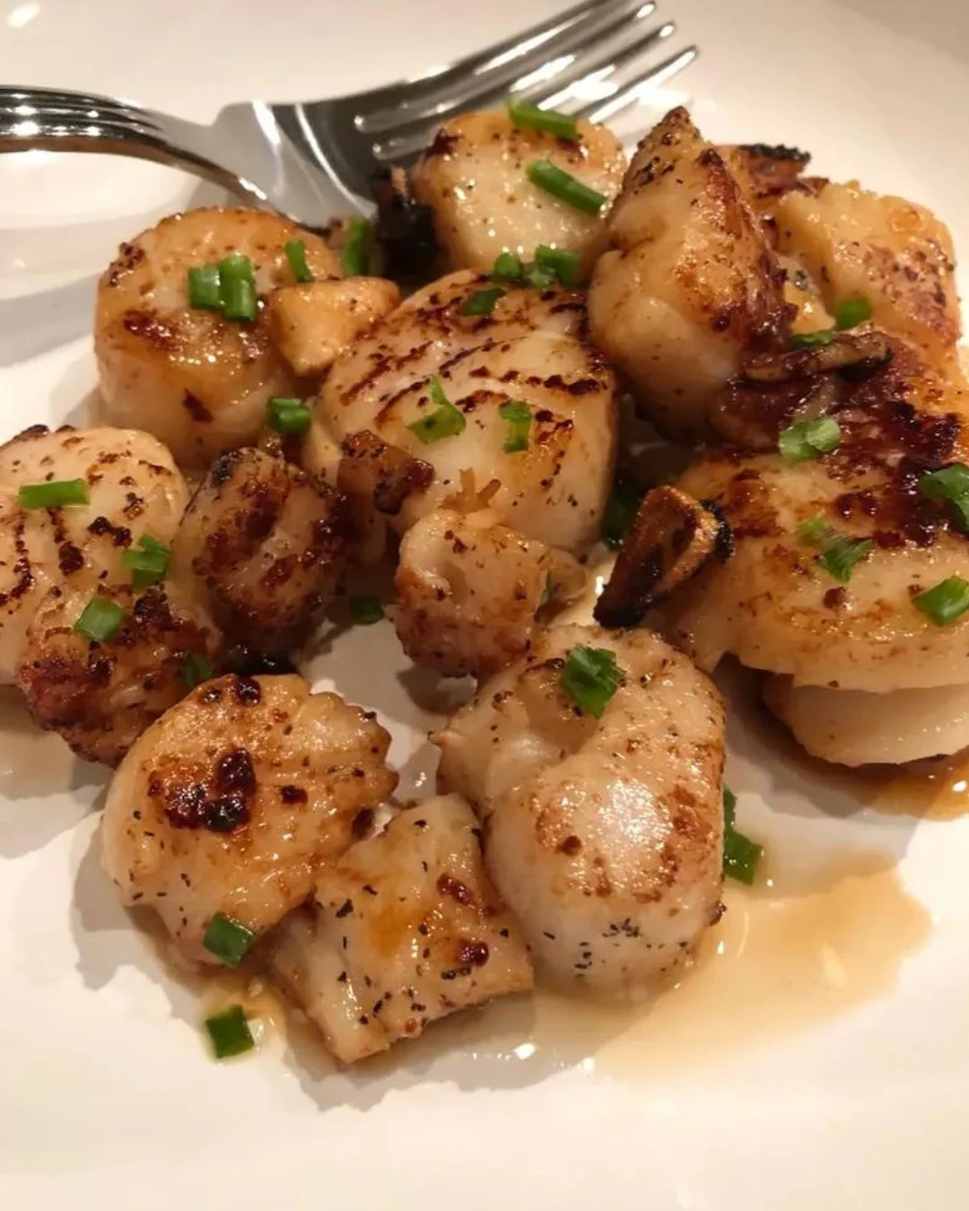 Savor Grilled Scallops with Homemade Rémoulade Today finished dish
